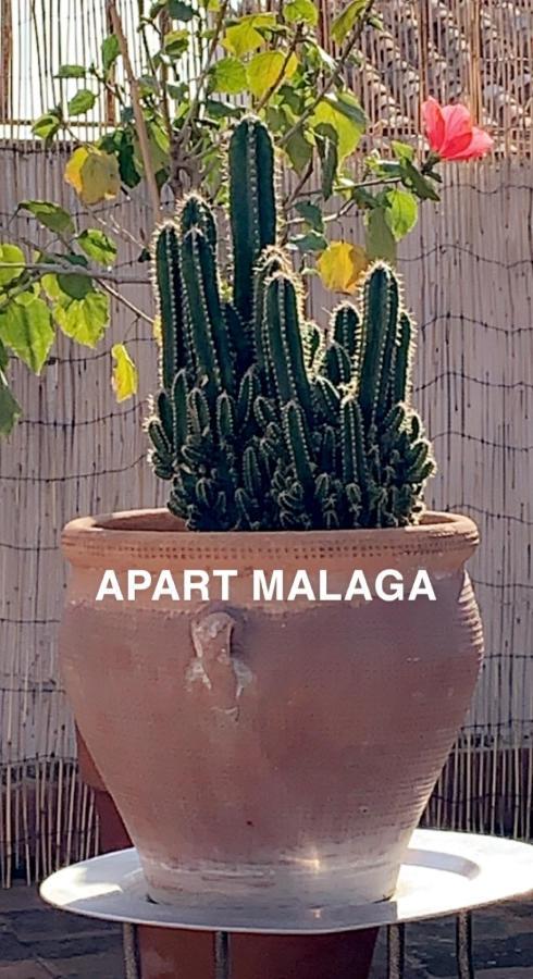 Appartement Plein Coeur Centre Historique De Málaga Exterior foto